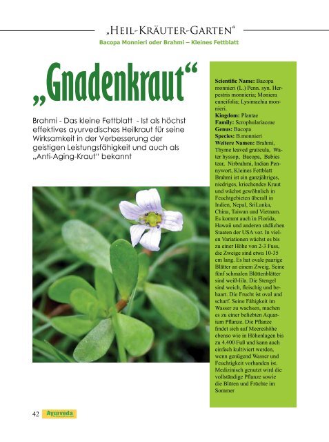 GEIST UND PSYCHE - Ayurveda Magazine