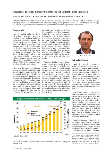 Erneuerbare Energien: Biomasse braucht dringend Leitplanken und ...