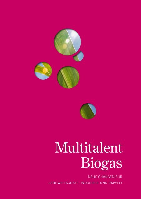 Multitalent Biogas Multitalent Biogas - Biogaspartner