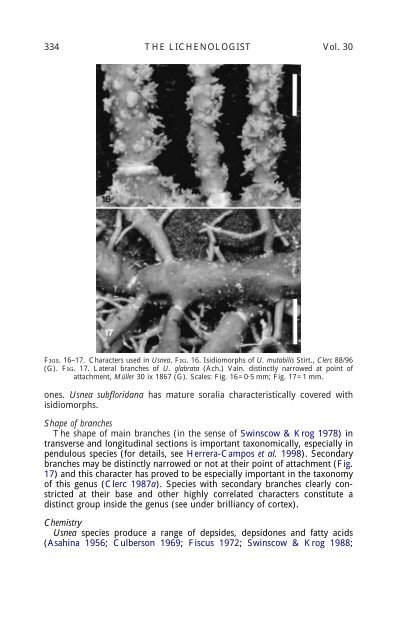 SPECIES CONCEPTS IN THE GENUS USNEA (LICHENIZED ...