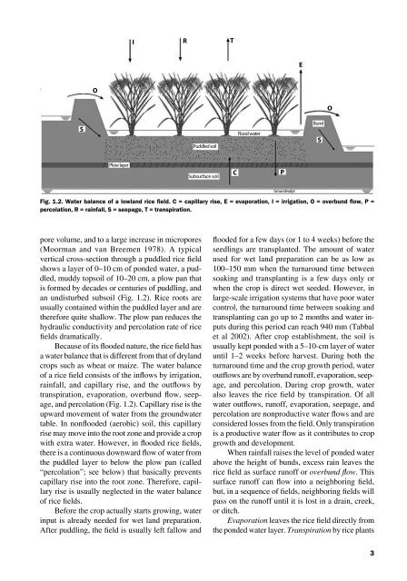 Water management in irrigated rice - Rice Knowledge Bank ...