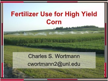 Fertilizer Use for High Yield Corn