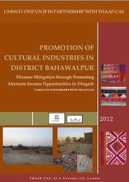 promotion of cultural industries in district bahawalpur - UNESCO ...