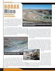 Borax Mine Case Study