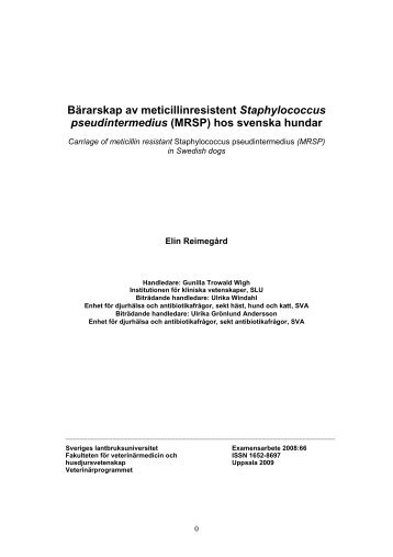 (MRSP) hos svenska hundar - SVA