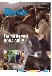 Ferma de vaci ROUA GRUP