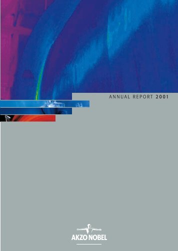 ANNUAL REPORT 2001 - AkzoNobel