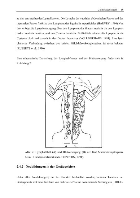 Isabela Schmitt Untersuchungen zum Einsatz der Laser-induzierten ...