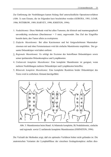 Isabela Schmitt Untersuchungen zum Einsatz der Laser-induzierten ...