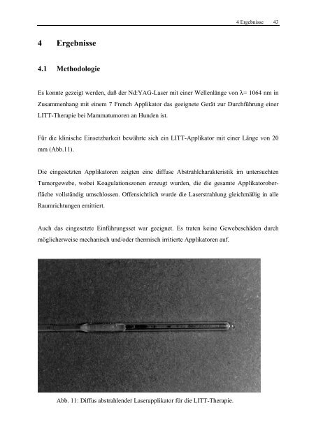 Isabela Schmitt Untersuchungen zum Einsatz der Laser-induzierten ...