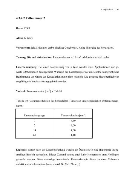 Isabela Schmitt Untersuchungen zum Einsatz der Laser-induzierten ...