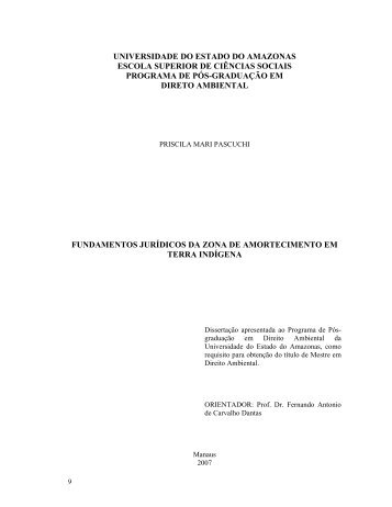priscila mari pascuchi - uea - pós graduação