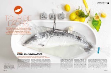 DER LACHS IM WASSER