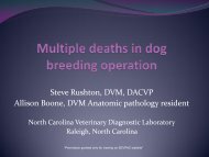 Multiple deaths in dog breeding operation