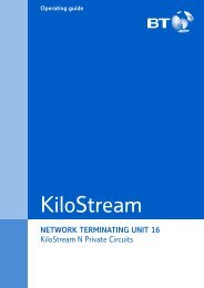 network terminating unit 16 - BT.com