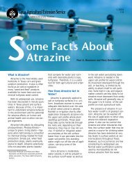 Some Facts about Atrazine - Texas A&M AgriLife Research ...