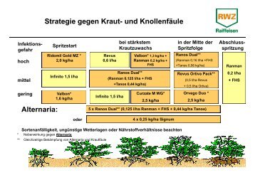 Strategie gegen Kraut- und Knollenfäule ... - Weuthen GmbH