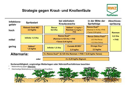 Strategie gegen Kraut- und Knollenfäule ... - Weuthen GmbH