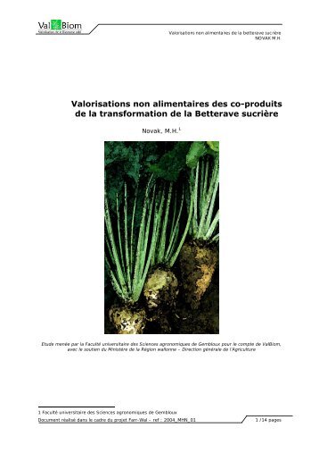 Valorisations non alimentaires des co-produits - ValBiom