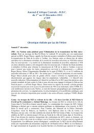 Journal d'Afrique Centrale - RDC du 1 au 15 DÃ©cembre 2012 nÂ°209 ...