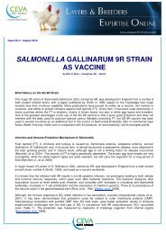 salmonella gallinarum 9r strain as vaccine - The Poultry Site