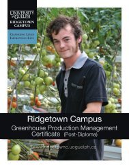 Greenhouse Production Management Program Flyer - Ridgetown ...