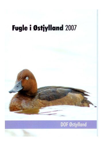 Fugle i Østjylland 2007 - DOF Østjylland