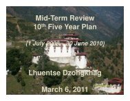 Mid-Term Review 10th Five Year Plan Lhuentse Dzongkhag March ...