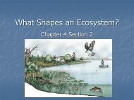 What Shapes an Ecosystem? - Hamilton Local Schools