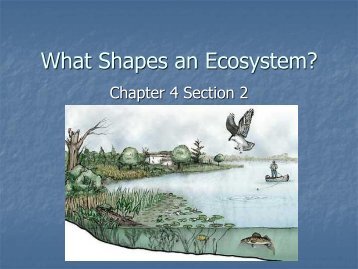 What Shapes an Ecosystem? - Hamilton Local Schools