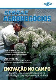 Revista Sebrae AgronegÃ³cios : inovaÃ§Ã£o no campo