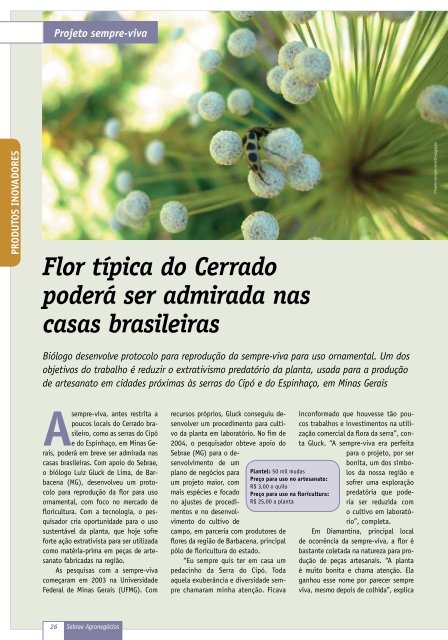 Revista Sebrae AgronegÃ³cios : inovaÃ§Ã£o no campo