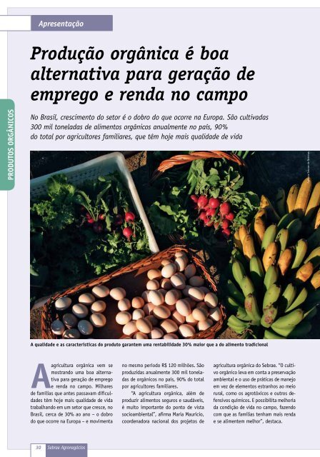 Revista Sebrae AgronegÃ³cios : inovaÃ§Ã£o no campo