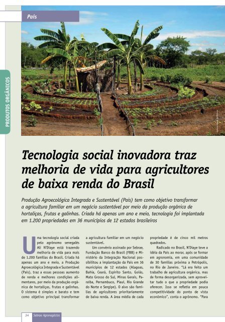 Revista Sebrae AgronegÃ³cios : inovaÃ§Ã£o no campo