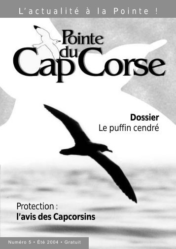 Le puffin cendré - La pointe du Cap Corse