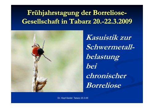 Kasuistik zur Schwermetall- b leastung bei chronischer Borreliose