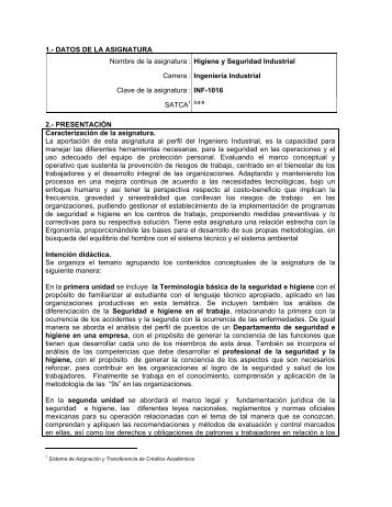Higiene y Seguridad Industrial - Instituto TecnolÃ³gico de ...