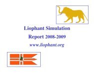 Liophant Summary 2009 - Liophant Simulation