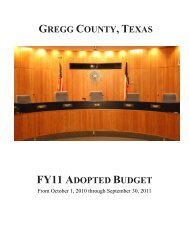 Fiscal Year 2011 - Gregg County