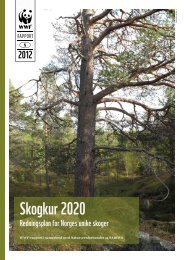WWF-rapport Skogkur 2020