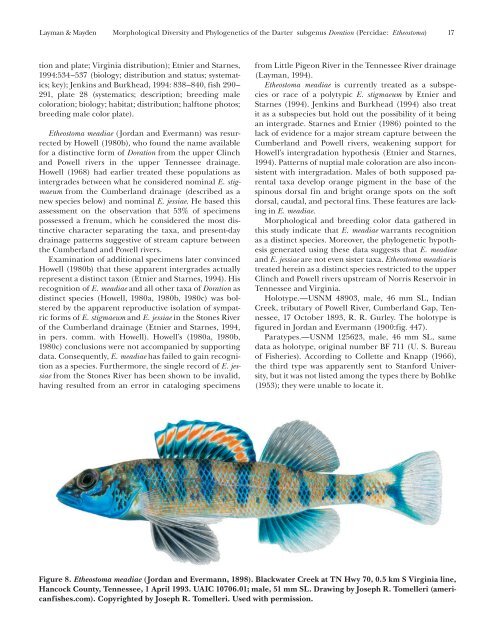 (Percidae: Etheostoma), with Descriptions of Five New Species