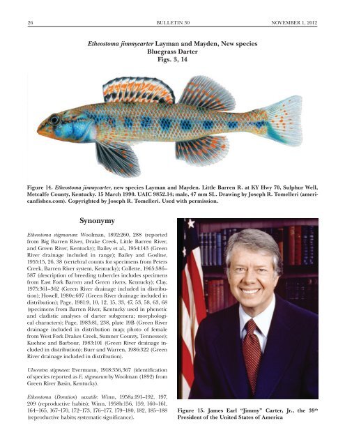 (Percidae: Etheostoma), with Descriptions of Five New Species