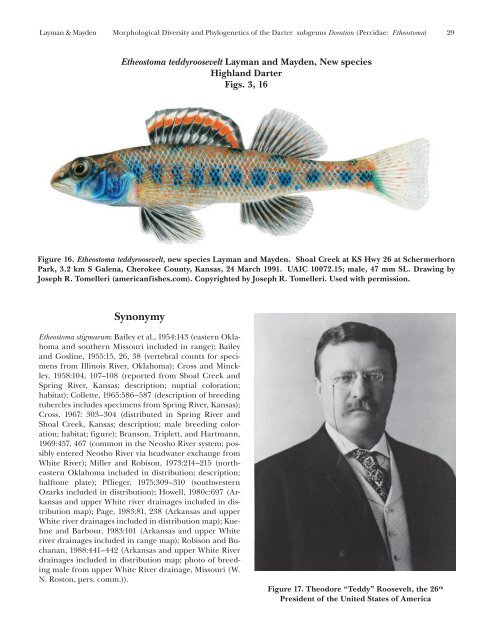 (Percidae: Etheostoma), with Descriptions of Five New Species