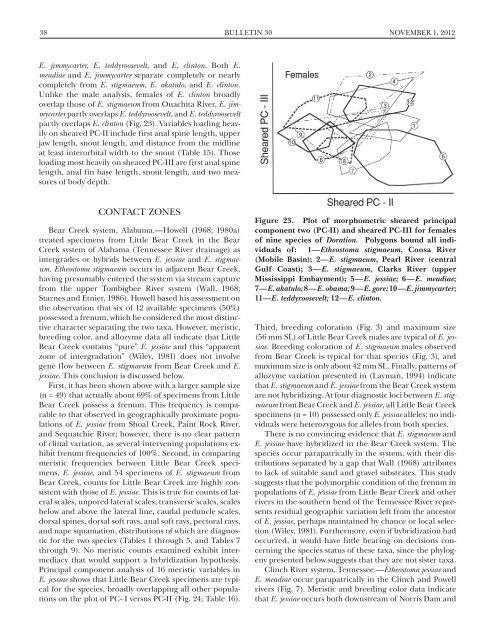 (Percidae: Etheostoma), with Descriptions of Five New Species