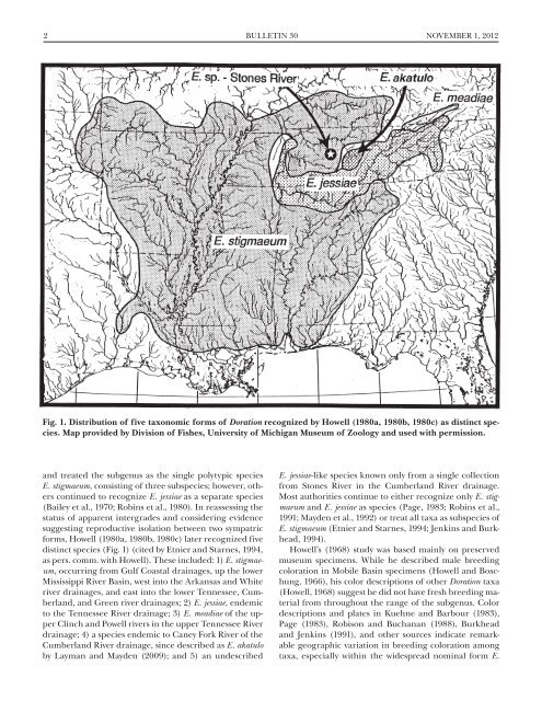 (Percidae: Etheostoma), with Descriptions of Five New Species