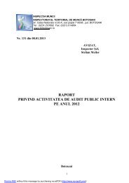 Raport de audit intern - ITM Botosani