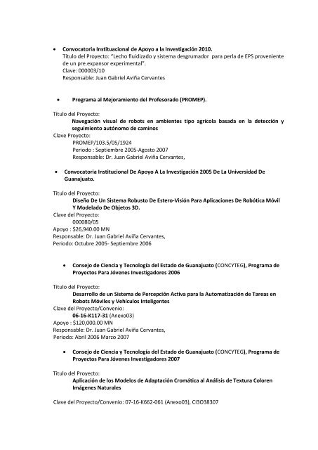 CURRICULUM VITAE - DivisiÃ³n de IngenierÃ­as - Campus Irapuato ...