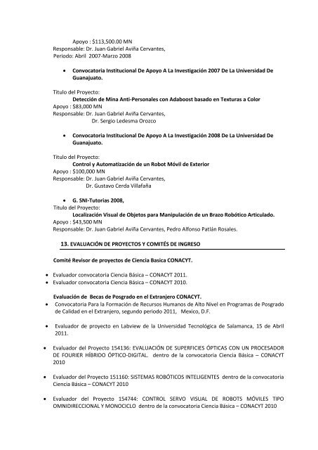 CURRICULUM VITAE - DivisiÃ³n de IngenierÃ­as - Campus Irapuato ...