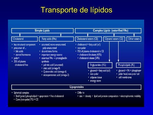 Metabolismo de Lipoproteinas y Colesterol