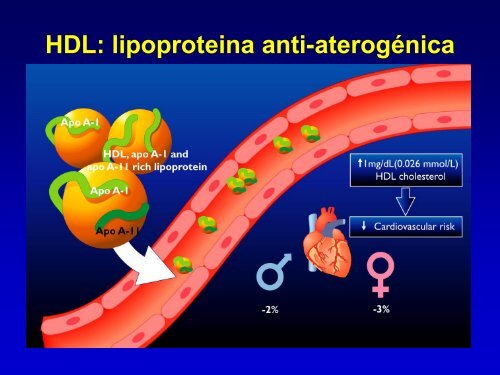 Metabolismo de Lipoproteinas y Colesterol